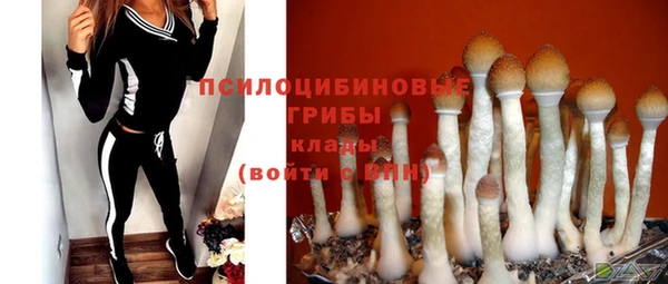 тгк Абдулино