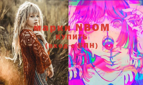 МДПВ Пестово