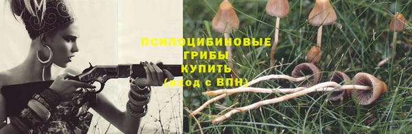МДПВ Пестово